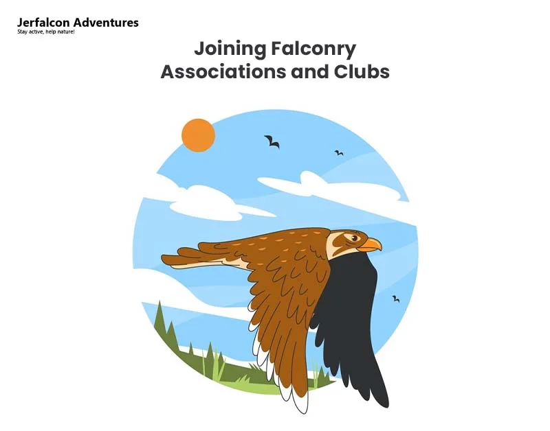 Joining Falconry Associations and Clubs 