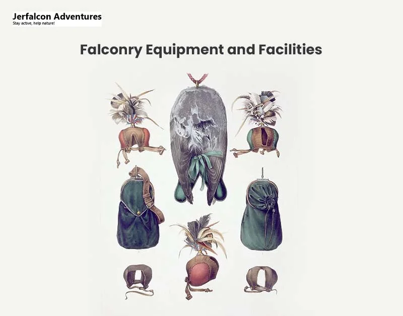 Falconry Equipment and Facilities 