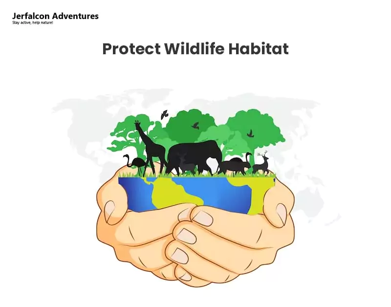 Protect Wildlife Habitat