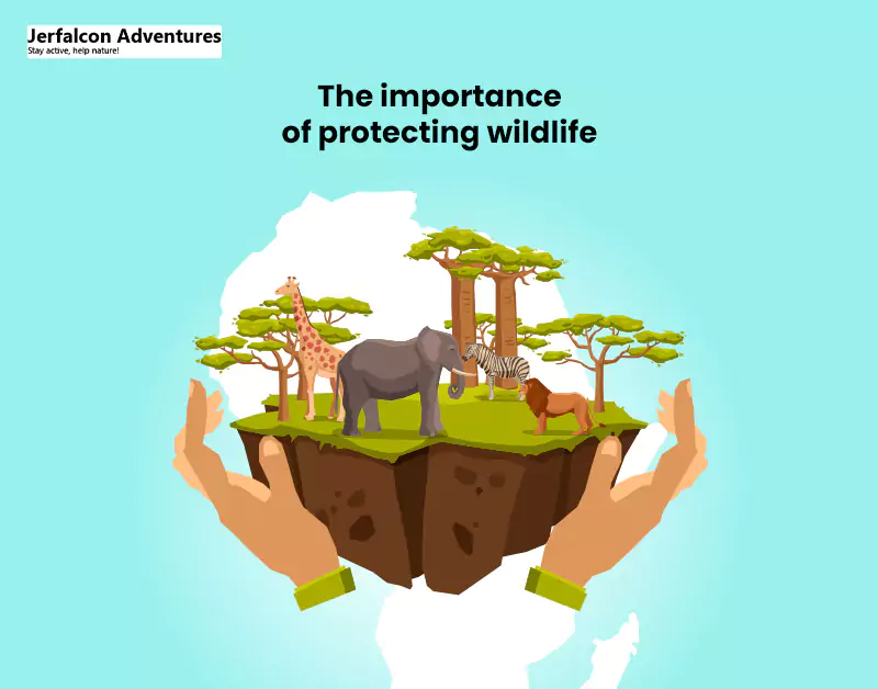 The importance of protecting wildlife 