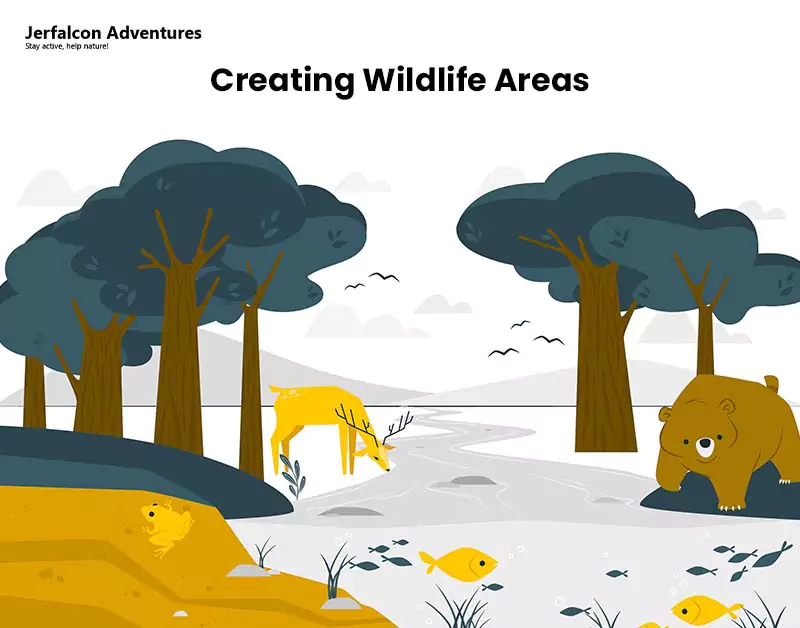 Creating Wildlife Areas