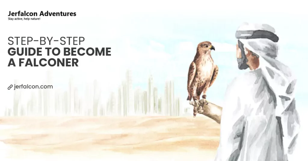Step-by-step Guide to Become a Falconer