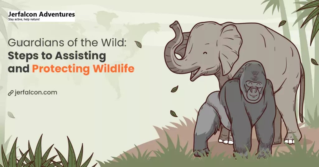 Guardians of the Wild: Steps to Assisting and Protecting Wildlife
